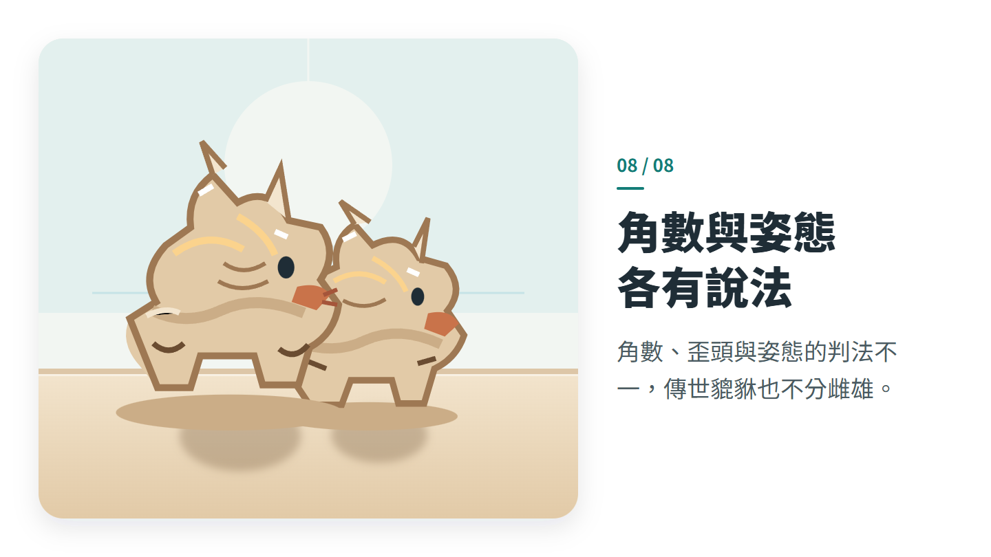 角數與姿態 各有說法