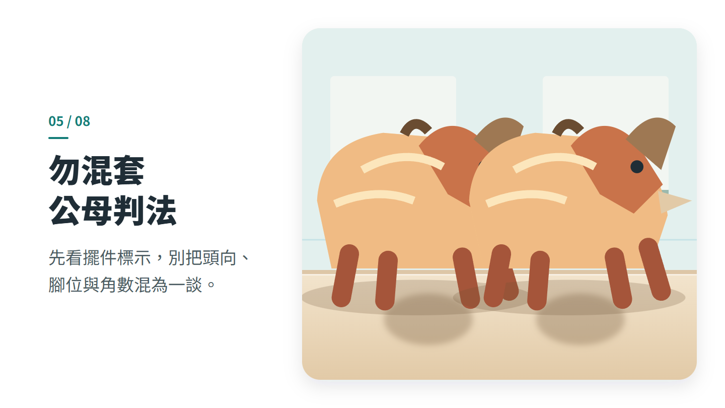 勿混套 公母判法