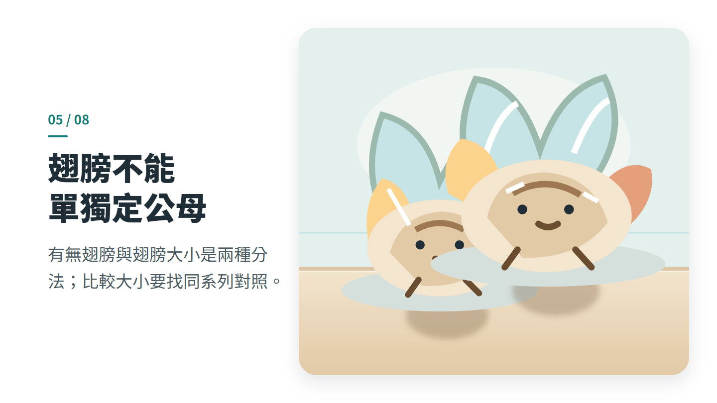 翅膀不能 單獨定公母